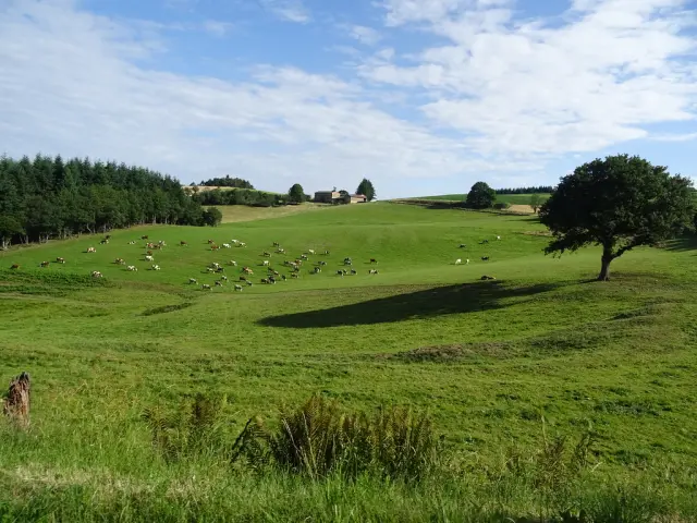 Monts du Lyonnais