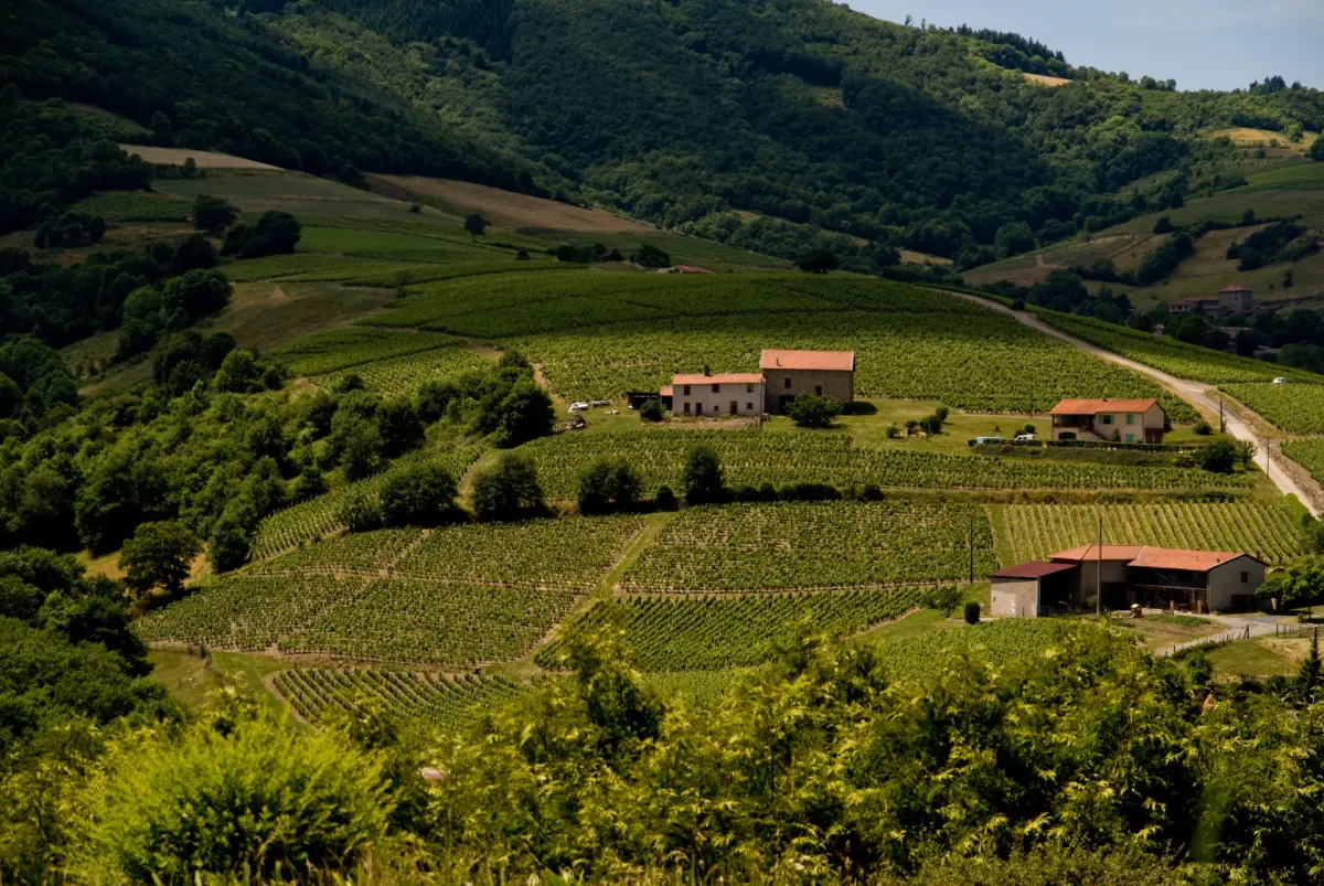 Monts du Lyonnais