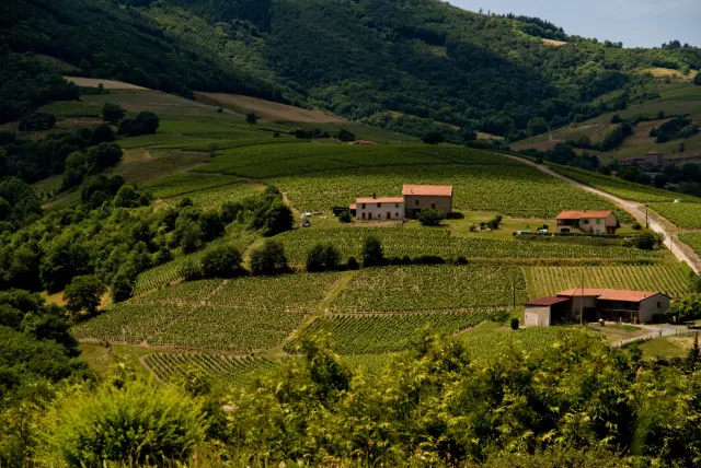 Monts du Lyonnais